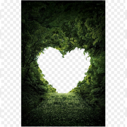 Heart shape with background 