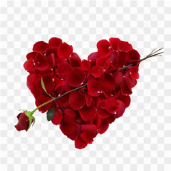 Rose Heart PNG Free Download