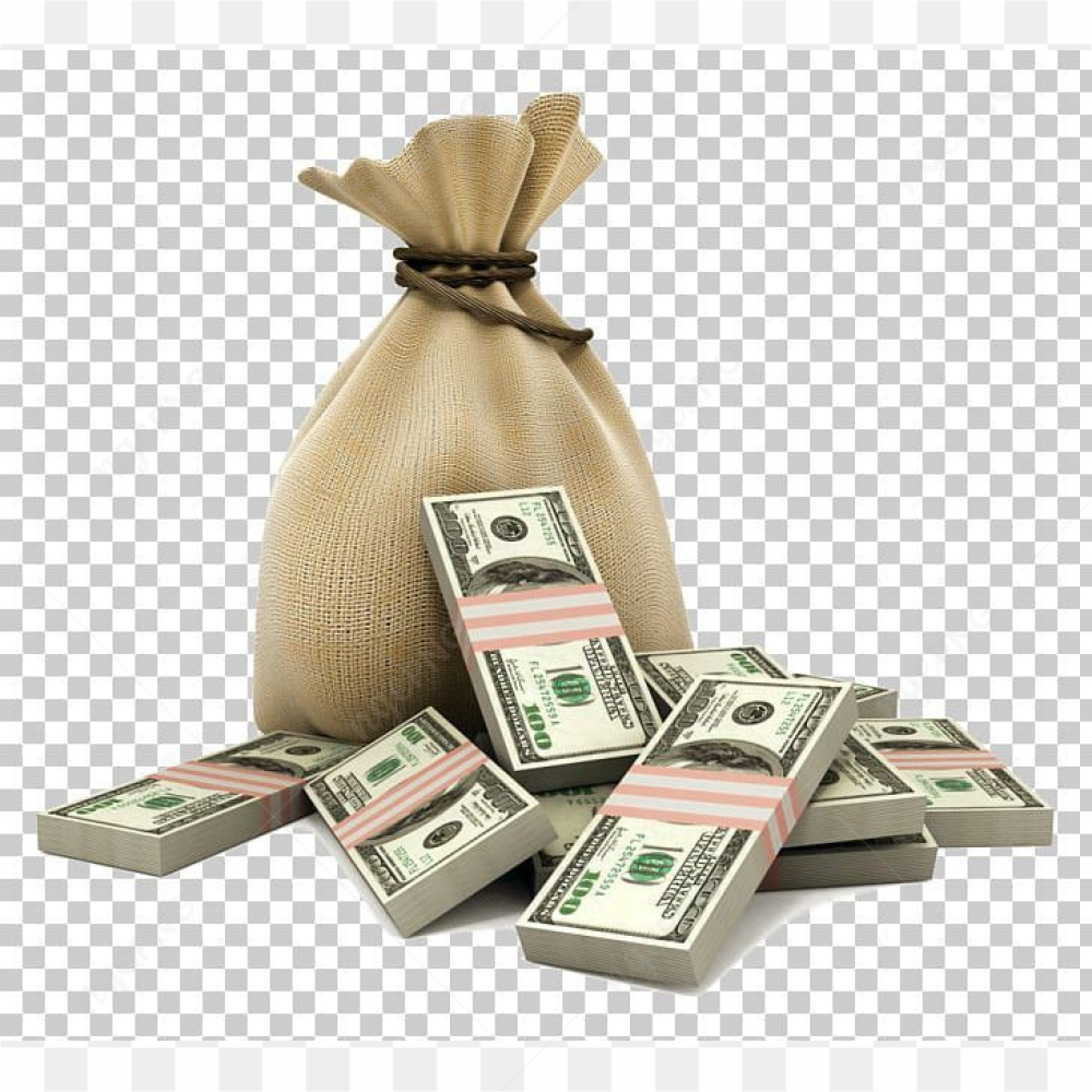 Money bag with money