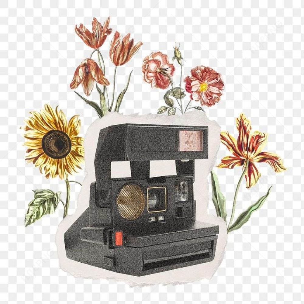 Instant camera and flowers