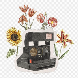 Instant camera and flowers