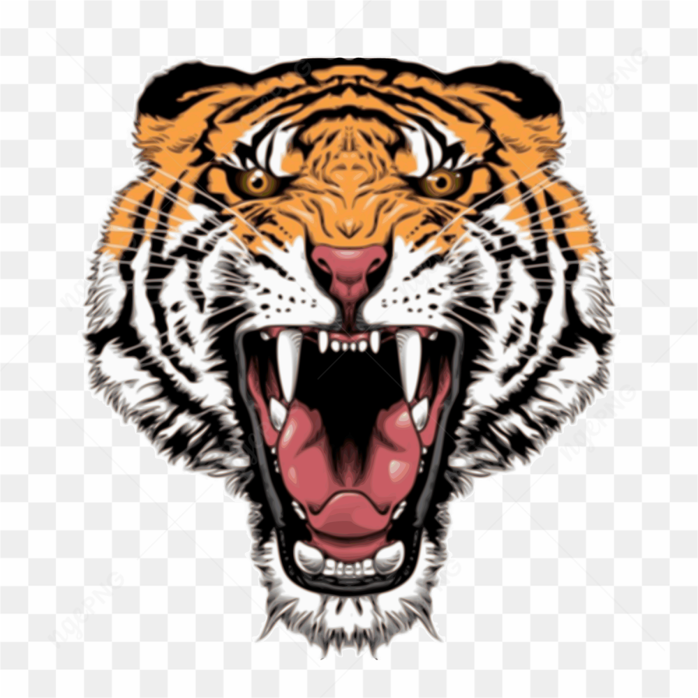 Tiger colored roar