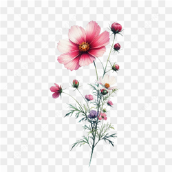 Watercolor Botanicals Clipart