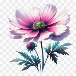 Watercolor Botanicals Clipart