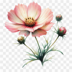 Watercolor Botanicals Clipart