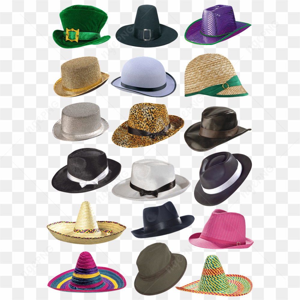 Men's fashion hats