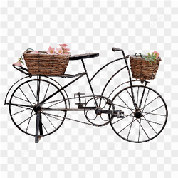 Bicycle carrying a load