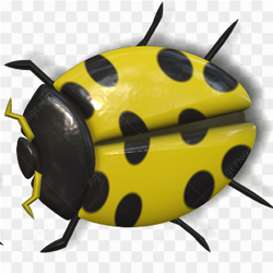 A yellow ladybug 