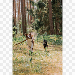 We love playing