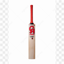 Sports Cricket Bat