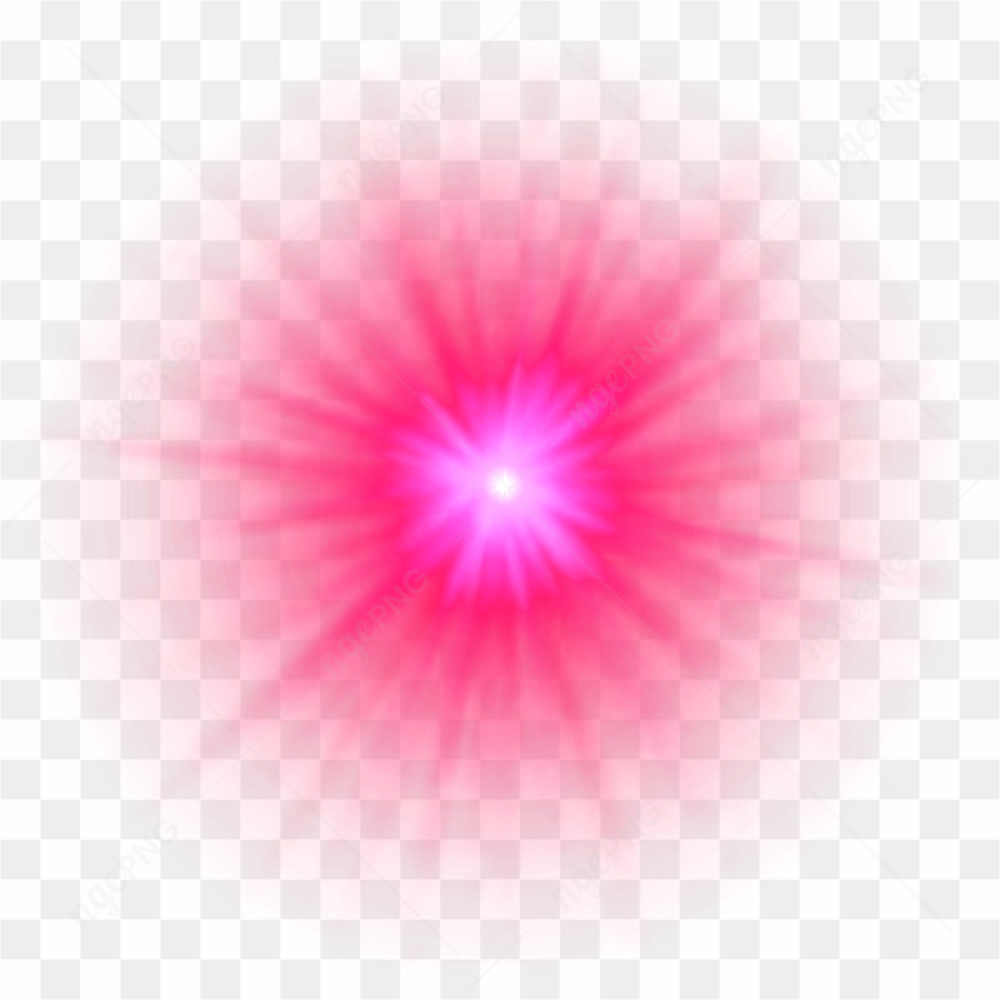 Gros plan d'une rose rose embrasse par la rose 
