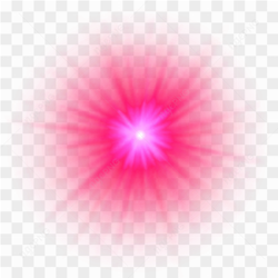 Gros plan d'une rose rose embrasse par la rose 