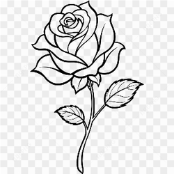 Flower art pic