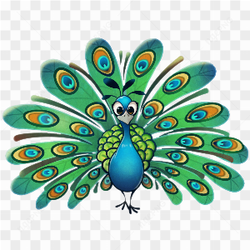 Green peacock beauty