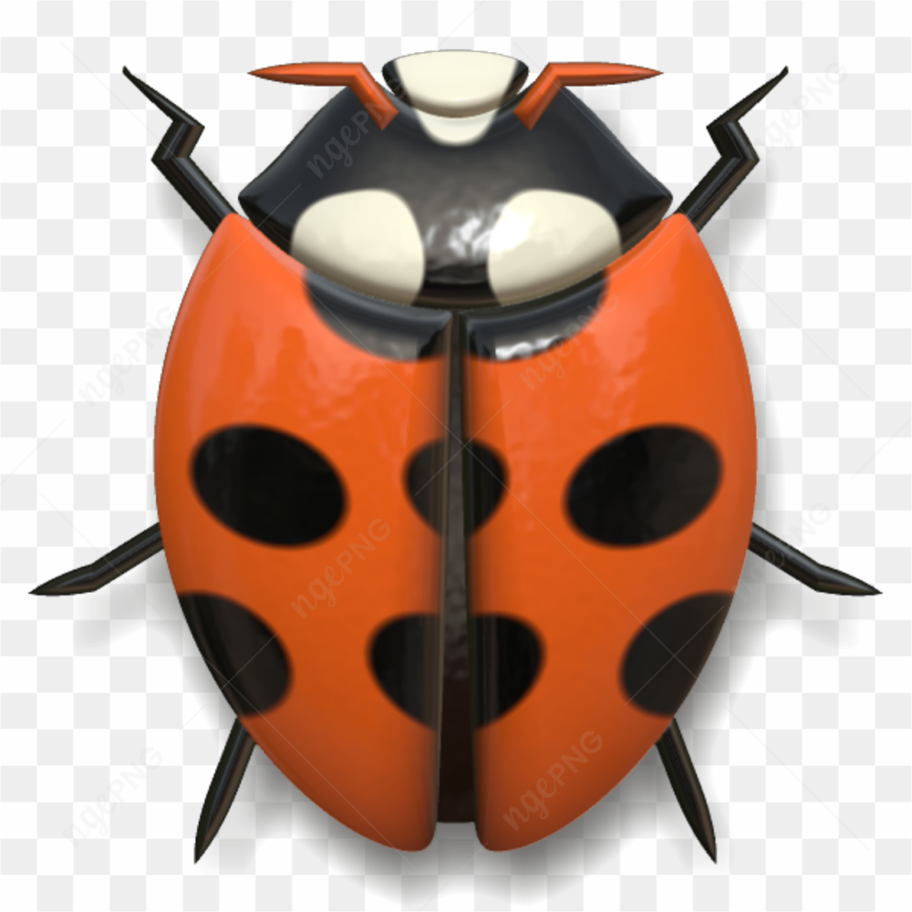 Vector art of a ladybug