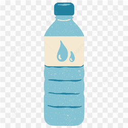 Vector Water Bottle 