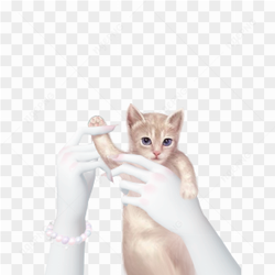 Hand Template Zepeto